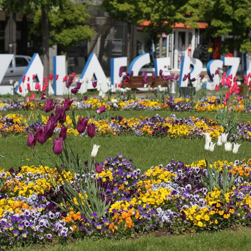 Zalaegerszeg